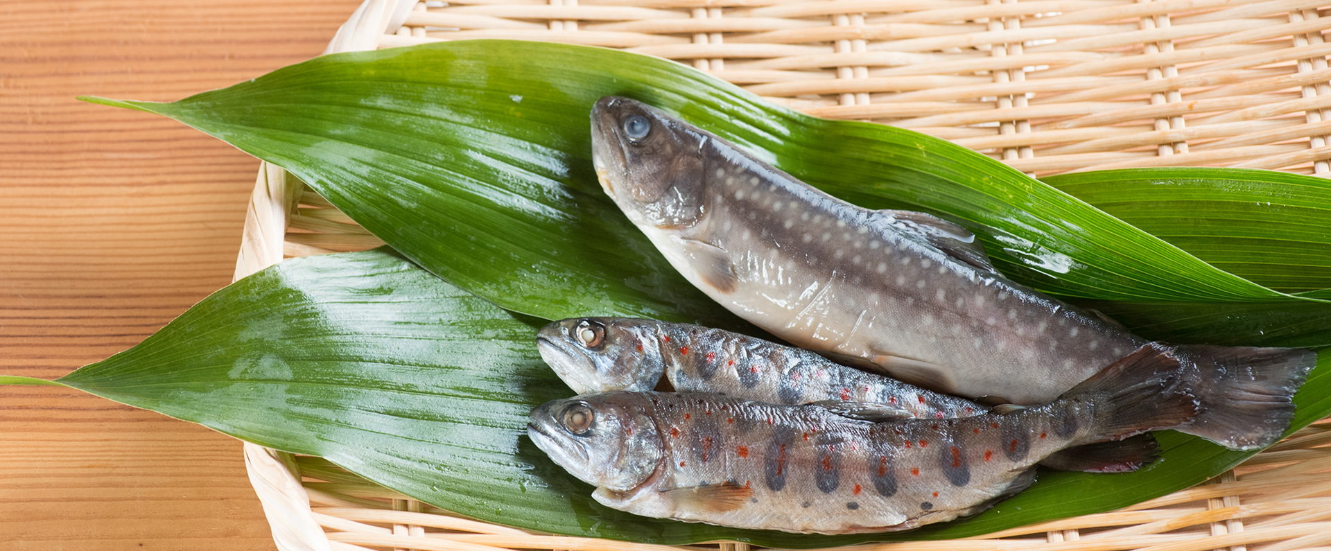 あまご・岩魚